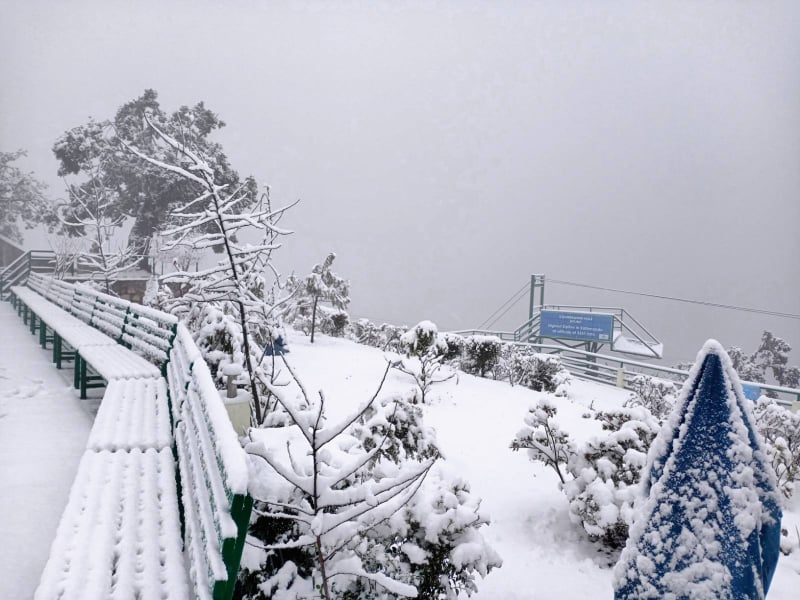 देशभर वर्षा, डाँडामा हिउँ