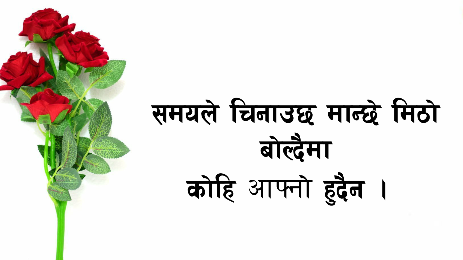 देखिने घाउ हरु भन्दा नदेखिने घाउको पीडा अति धेरै हुन्छ – मनछुने भनाईहरू