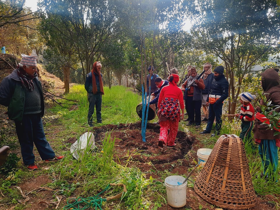 सुन्तलाजात फलफुल व्यवस्थापन गर्न कस्सिए कृषि प्राविधिक