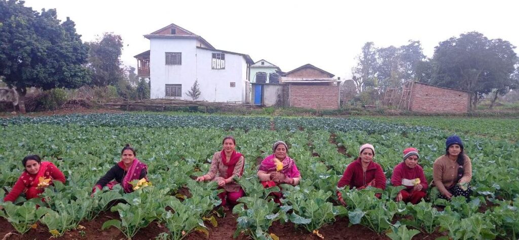 तरकारी खेतीले फेरियो रामपुरमा महिलाको दैनिकी