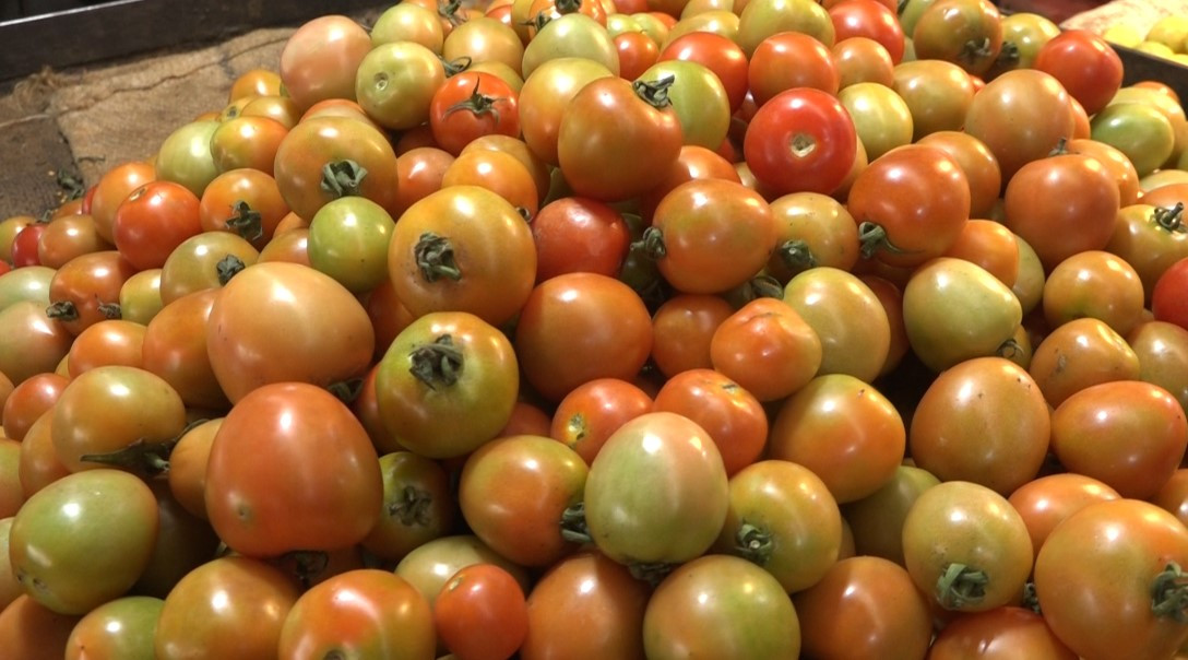 पोखरामा गोलभेंडाको मूल्य अहिलेसम्मकै उच्च