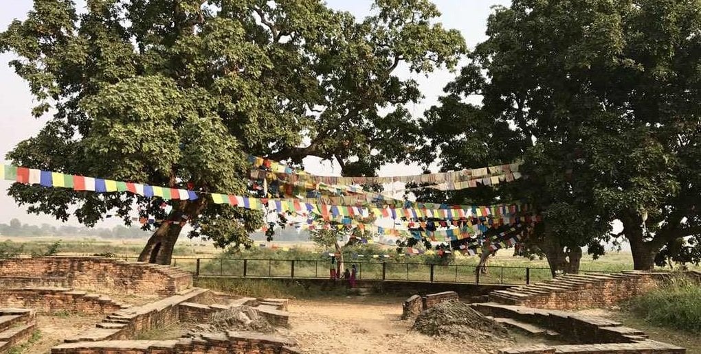 तिलौराकोटलाई विश्व सम्पदामा सूचीकृत गर्न अन्तिम चरणको मनोनयन दस्ताबेज तयार हुँदै