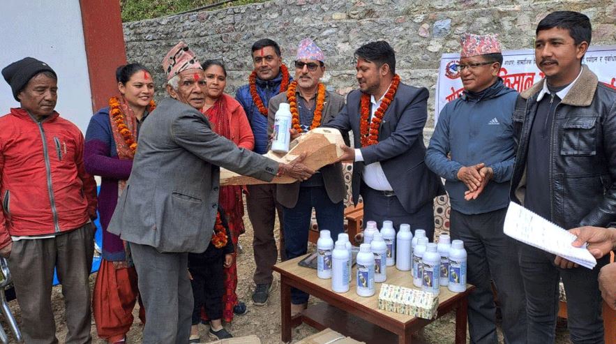 गुल्मीको मुसिकोटमा गोरु पाल्ने किसानलाई हलो उपहार