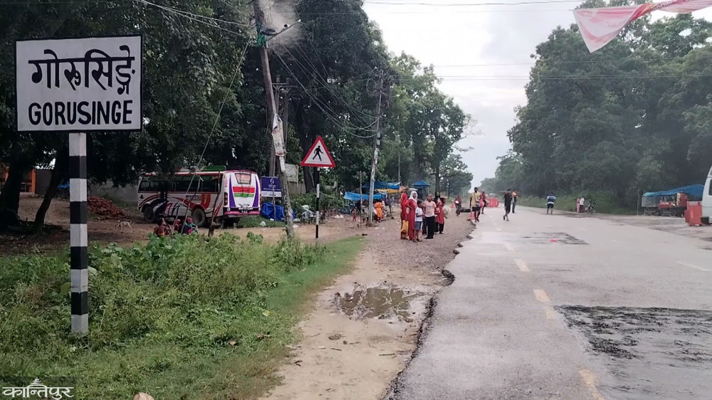 बुटवल–गोरुसिङ्गे सडक बिस्तारका लागि ठेक्का आह्वान