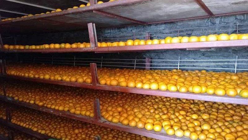 जाजरकोटमा सुन्तला खेर जान नदिन सेलार स्टोर