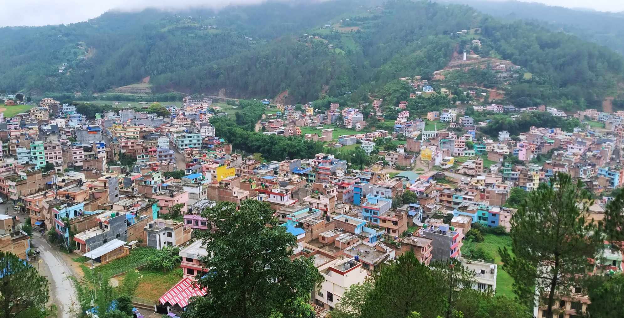 अर्घाखाँची जिल्लामा ५८ हजार लालपुर्जा वितरण