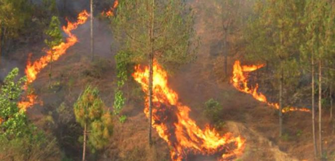 बागलुङमा ३८ वनमा आगलागी: १५ वनको आगो नियन्त्रण बाहिर