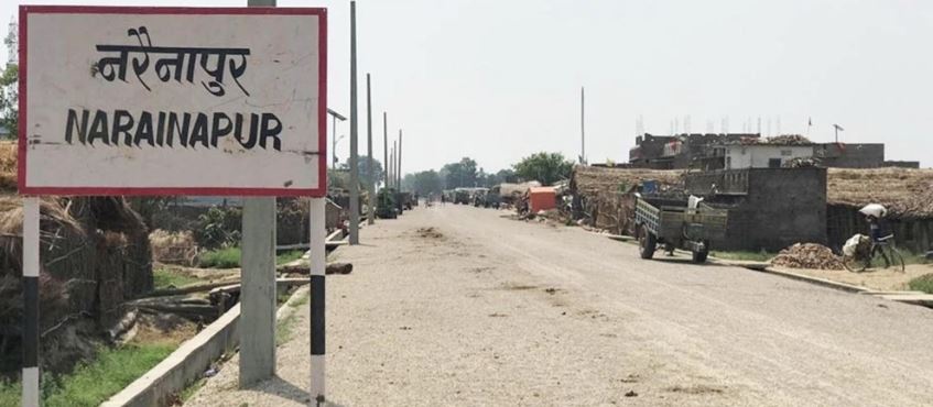 झाडापखालाबाट चारको मृत्यु, सातजना बिरामी