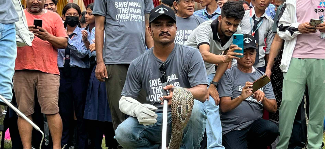 सर्प चिनाउन, सर्प बचाउन सर्प महोत्सव